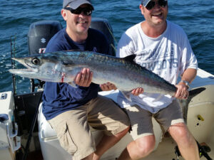 King Mackerel caught during a nearshore fishing charter off Amelia Island.