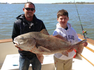 Bull Redfish caught on a nearshore fishing charter from Fernandina Beach.