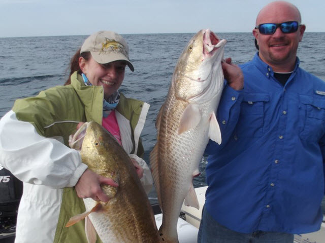 Redfish caught while fishing nearshore reefs off Amelia Island.